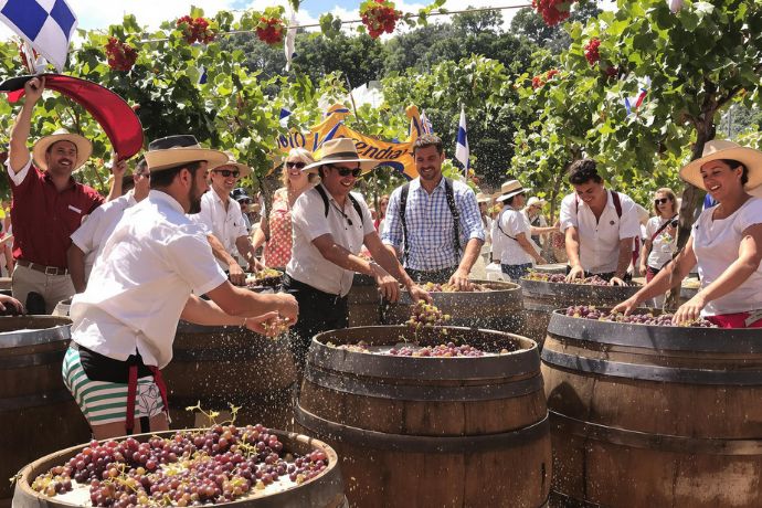 🍇 جشن برداشت انگور در مکزیک