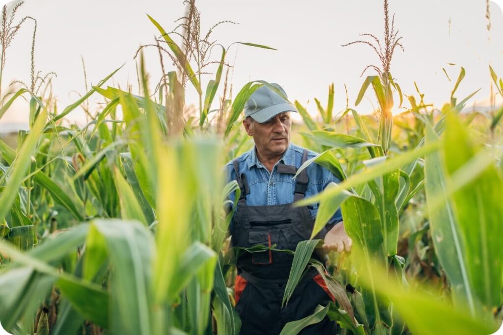مکزیک زادگاه ذرت و آووکادو است. چه تجربه‌هایی در حوزه کشاورزی می‌تواند الهام‌بخش همکاری‌های دوجانبه باشد؟